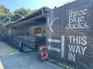 Photo Three Blue Ducks - 16