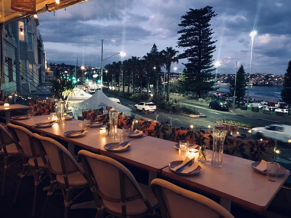 Don Pedros Bondi